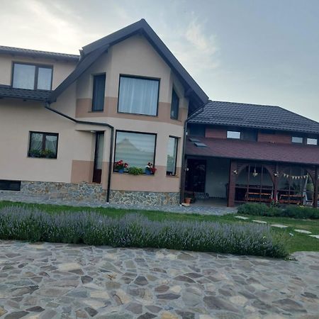Casa Tomescu Curtea De Arges Ngoại thất bức ảnh